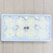 Grade A Preserved Carnation | DreamGarden SG