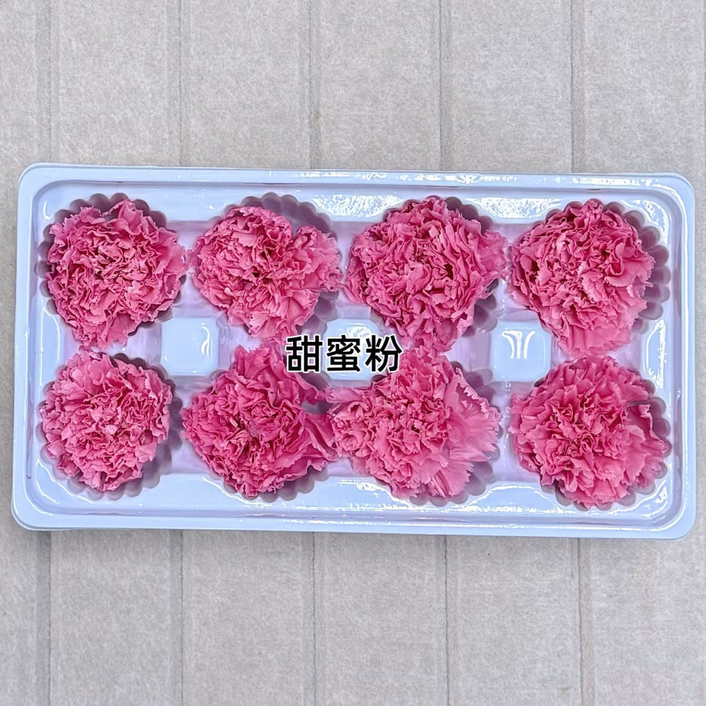 🇸🇬[SG Stock][Dream Garden]Grade A Preserved Carnation Preserved Flowers Dried Flowers Home Decoration/DIY/Wedding/Dome