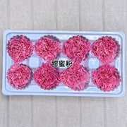 Grade A Preserved Carnation | DreamGarden SG