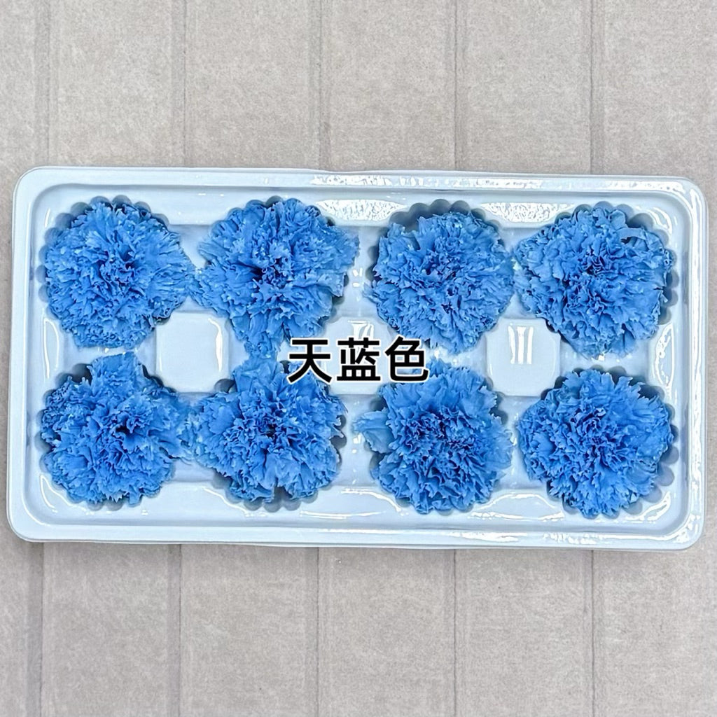 🇸🇬[SG Stock][Dream Garden]Grade A Preserved Carnation Preserved Flowers Dried Flowers Home Decoration/DIY/Wedding/Dome