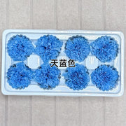 Grade A Preserved Carnation | DreamGarden SG