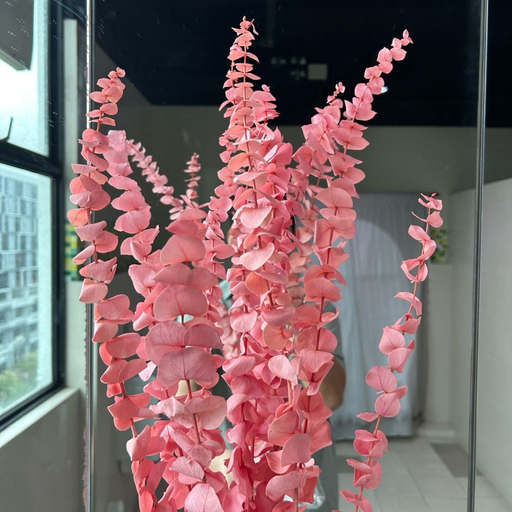 🇸🇬[SG Stock]Singapore Local Wholesaler Dream Garden Preserved Flowers Dried Flower Preserved Leaves Preserved Eucalyptus