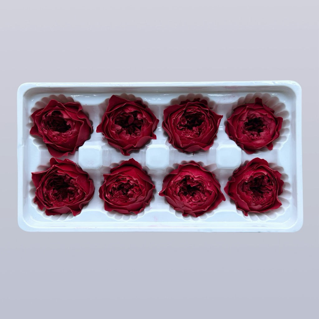 🇸🇬[SG Stock][Dream Garden]Grade A Preserved Austin Roses Preserved Flowers Dried Flowers Home Decoration/DIY/Wedding