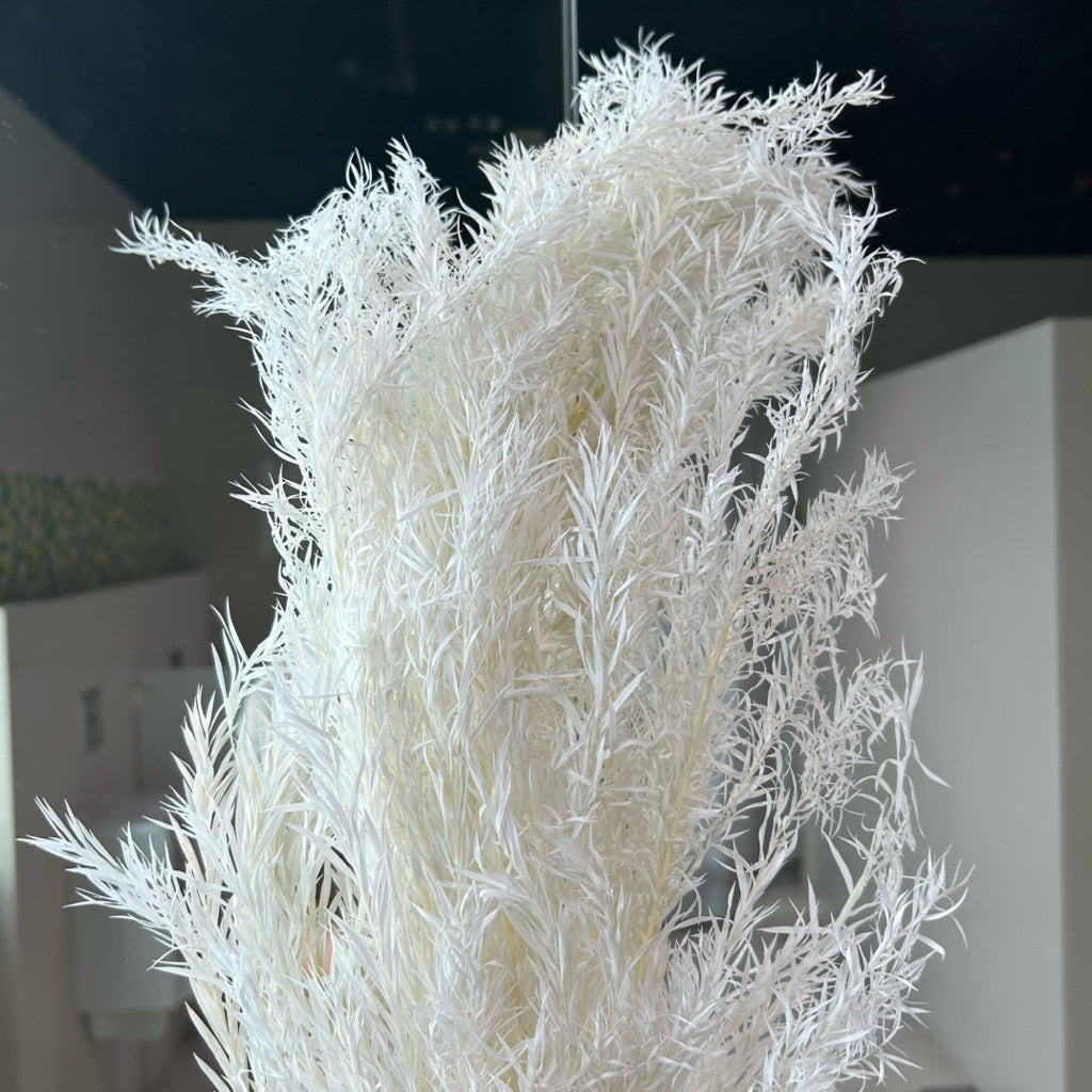 🇸🇬[SG Stock] SG Local Largest Wholesaler Preserved Melaleuca Bundle bracteata Suitable For Decoration/Wedding/DIY/Dome