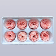 Grade A Preserved Austin Roses | DreamGarden SG