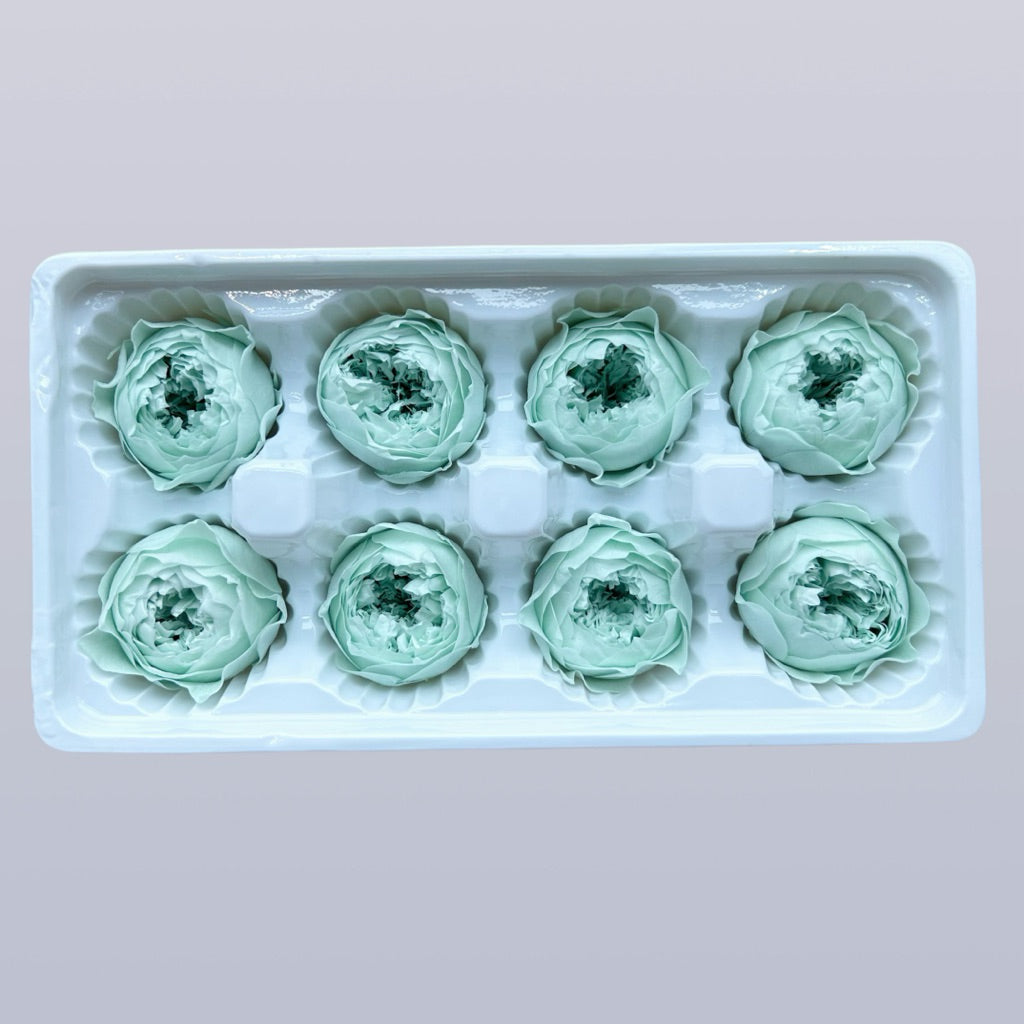 🇸🇬[SG Stock][Dream Garden]Grade A Preserved Austin Roses Preserved Flowers Dried Flowers Home Decoration/DIY/Wedding