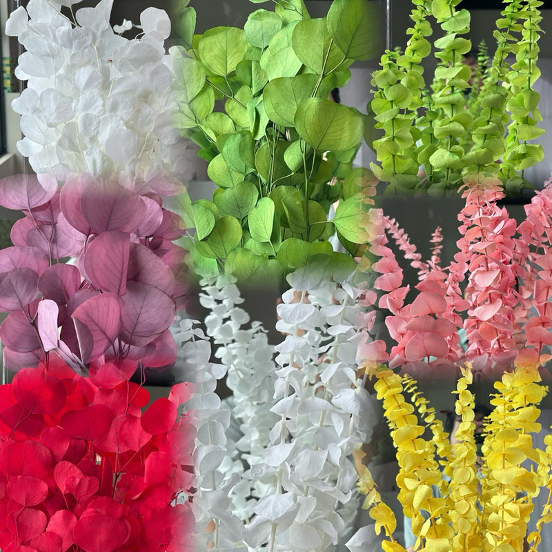 🇸🇬[SG Stock]Singapore Local Wholesaler Dream Garden Preserved Flowers Dried Flower Preserved Leaves Preserved Eucalyptus