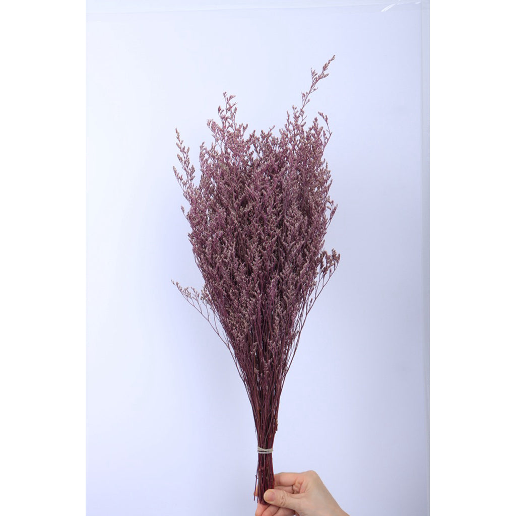 🇸🇬[SG Stock]Preserved Flowers Dried Flowers Preserved Caspia  Singapore Local Wholesalers Home Decoration/DIY/Wedding