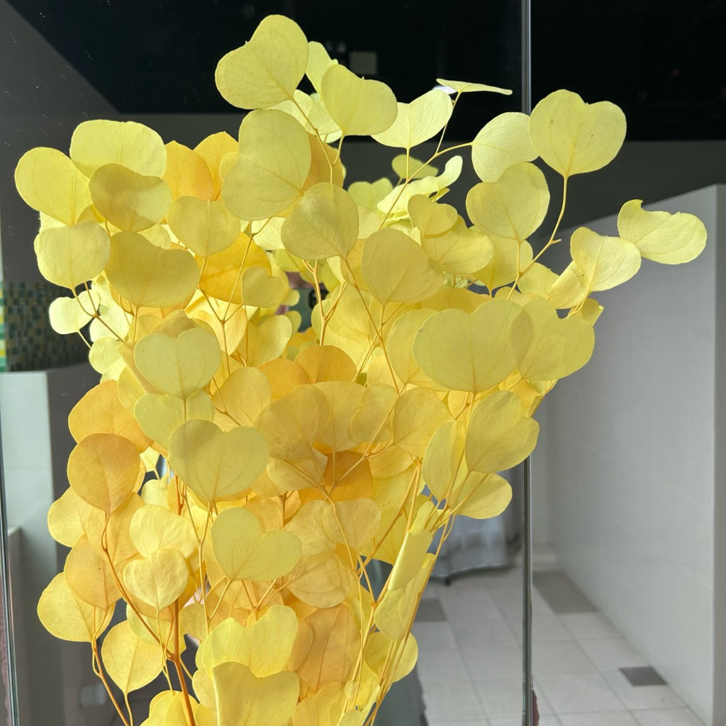 🇸🇬[SG Stock]Singapore Local Wholesaler Dream Garden Preserved Flowers Dried Flower Preserved Leaves Preserved Eucalyptus