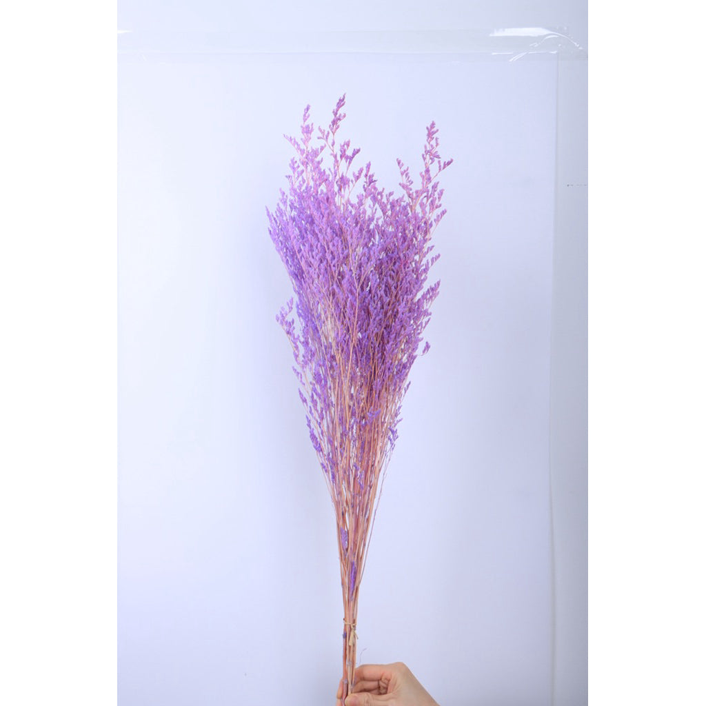 🇸🇬[SG Stock]Preserved Flowers Dried Flowers Preserved Caspia  Singapore Local Wholesalers Home Decoration/DIY/Wedding