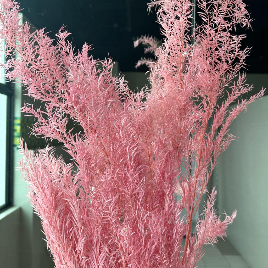 🇸🇬[SG Stock] SG Local Largest Wholesaler Preserved Melaleuca Bundle bracteata Suitable For Decoration/Wedding/DIY/Dome