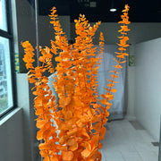 Preserved Leaves Preserved Eucalyptus 3 | DreamGarden SG