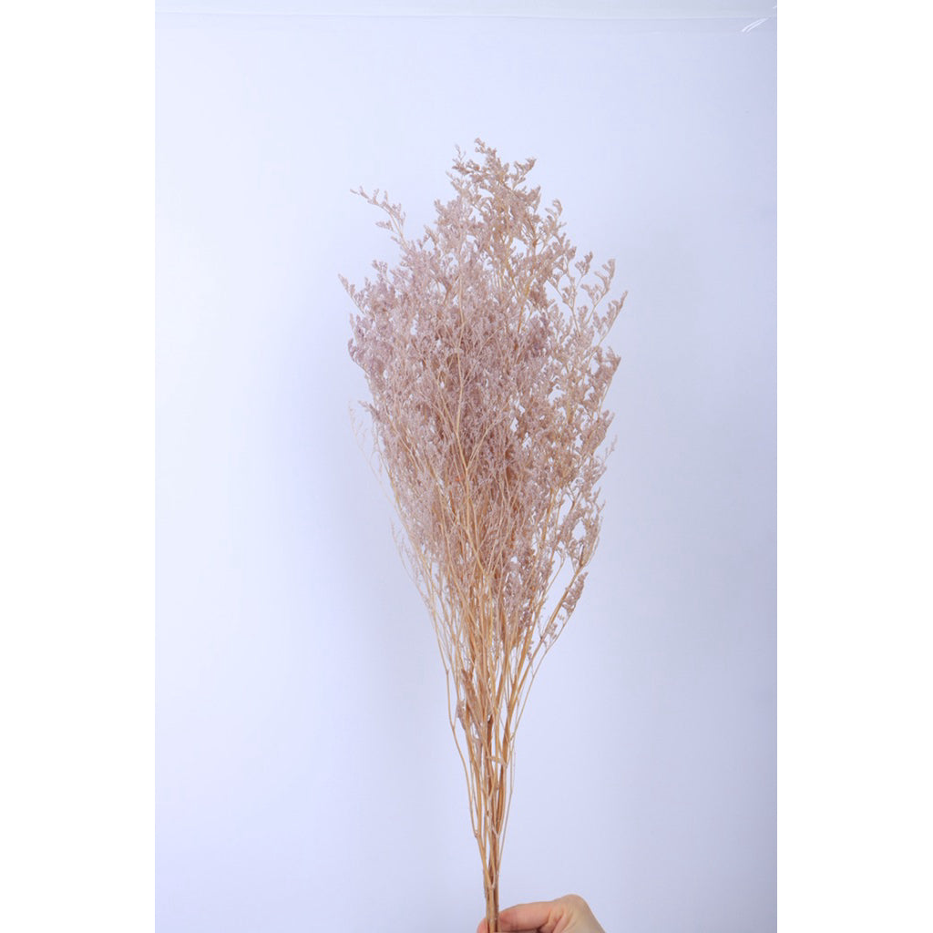 🇸🇬[SG Stock]Preserved Flowers Dried Flowers Preserved Caspia  Singapore Local Wholesalers Home Decoration/DIY/Wedding