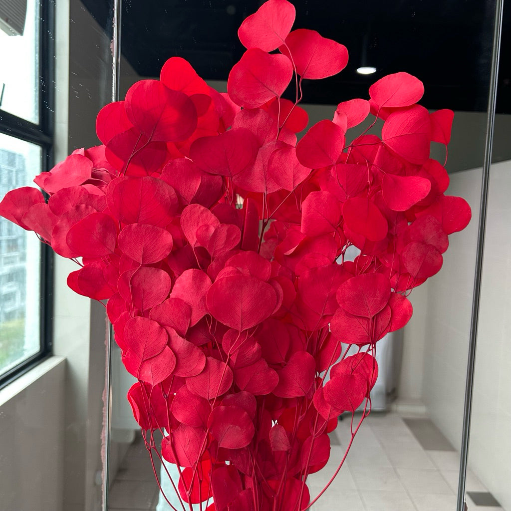 Preserved Leaves Preserved Eucalyptus 3 | DreamGarden SG