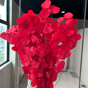 Preserved Leaves Preserved Eucalyptus 3 | DreamGarden SG