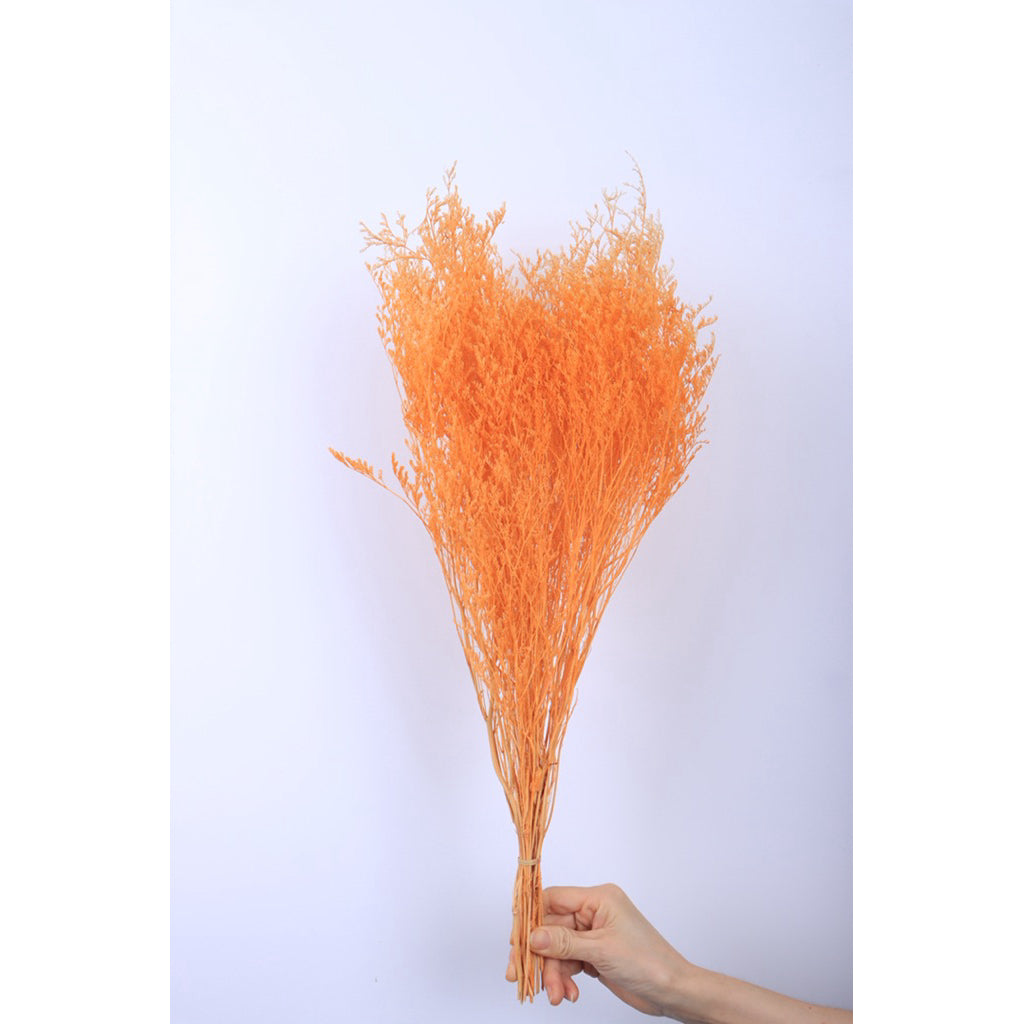 🇸🇬[SG Stock]Preserved Flowers Dried Flowers Preserved Caspia  Singapore Local Wholesalers Home Decoration/DIY/Wedding