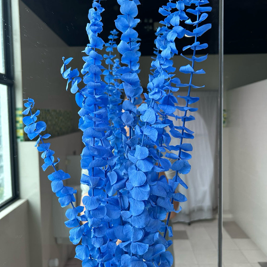 Preserved Leaves Preserved Eucalyptus 3 | DreamGarden SG