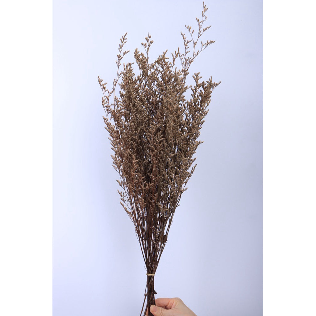🇸🇬[SG Stock]Preserved Flowers Dried Flowers Preserved Caspia  Singapore Local Wholesalers Home Decoration/DIY/Wedding
