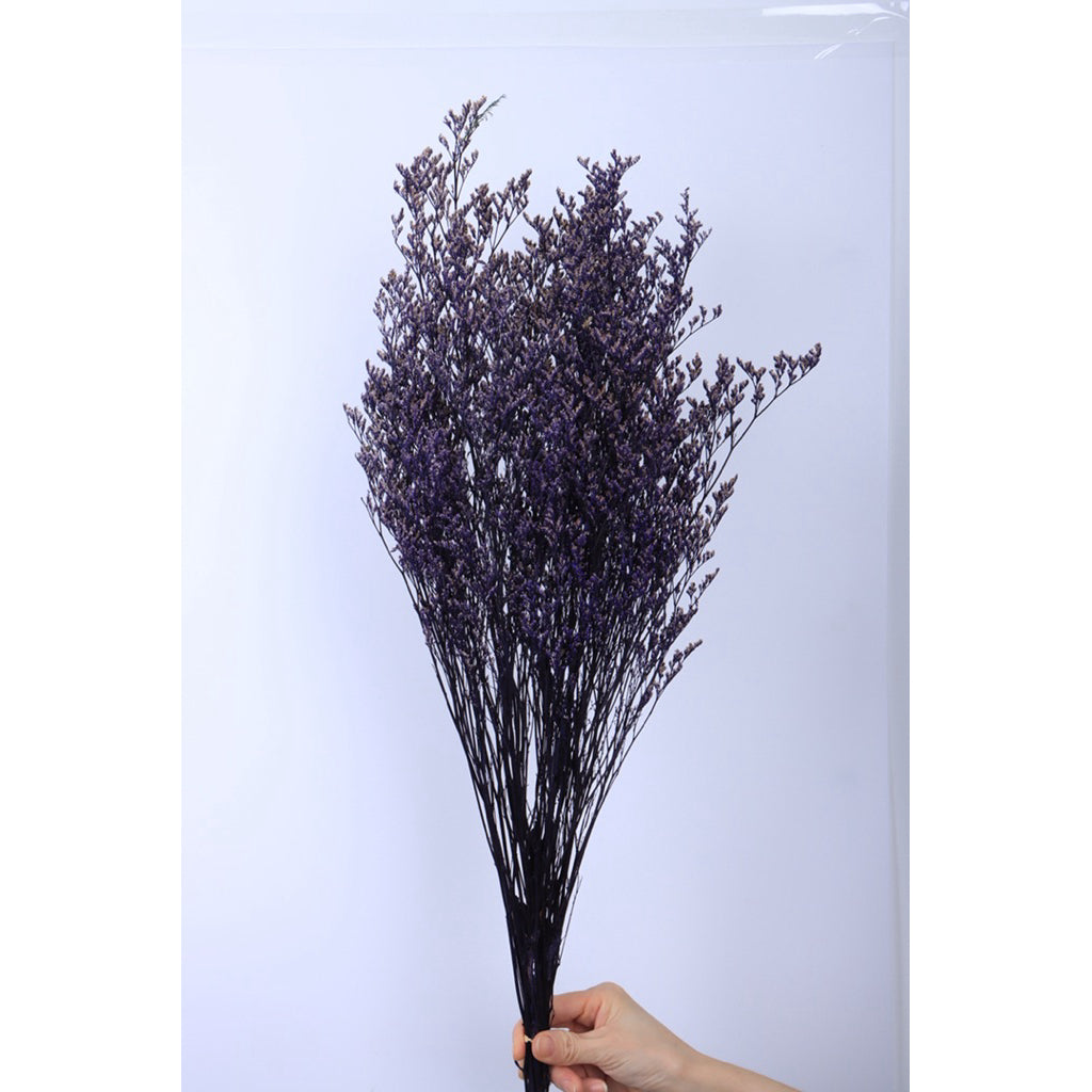 🇸🇬[SG Stock]Preserved Flowers Dried Flowers Preserved Caspia  Singapore Local Wholesalers Home Decoration/DIY/Wedding