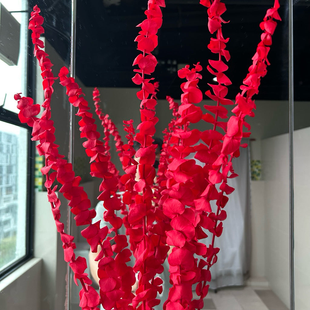 🇸🇬[SG Stock]Singapore Local Wholesaler Dream Garden Preserved Flowers Dried Flower Preserved Leaves Preserved Eucalyptus