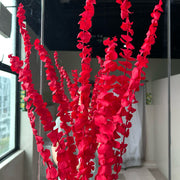 Preserved Leaves Preserved Eucalyptus 3 | DreamGarden SG