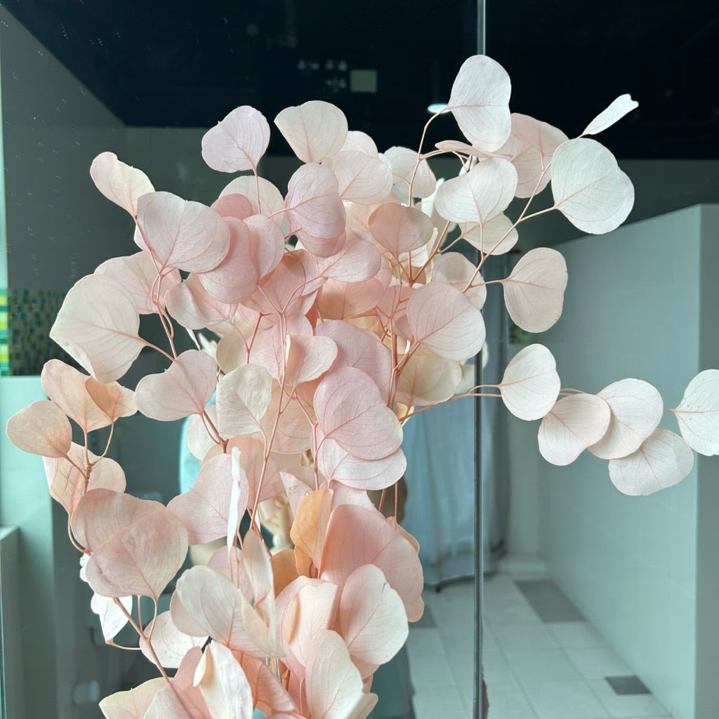 🇸🇬[SG Stock]Singapore Local Wholesaler Dream Garden Preserved Flowers Dried Flower Preserved Leaves Preserved Eucalyptus