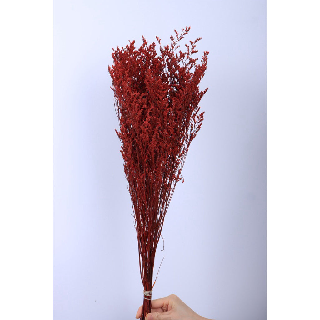 🇸🇬[SG Stock]Preserved Flowers Dried Flowers Preserved Caspia  Singapore Local Wholesalers Home Decoration/DIY/Wedding
