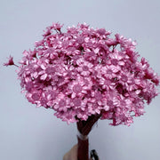 Brazilian mini daisy small fresh dry bouquet with flower | DreamGarden SG