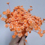 Brazilian mini daisy small fresh dry bouquet with flower | DreamGarden SG