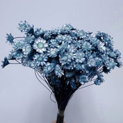 Brazilian mini daisy small fresh dry bouquet with flower | DreamGarden SG
