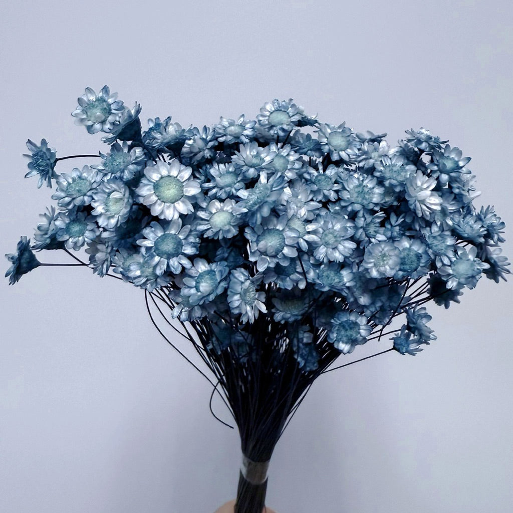 Brazilian mini daisy small fresh dry bouquet with flower arrangement decorative desktop decoration small star flower
