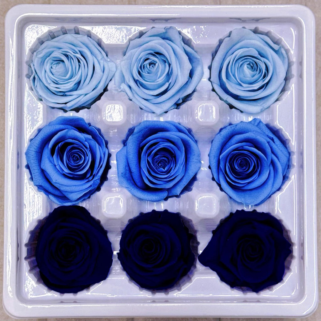 9pcs Rainbow Preserved Rose Flower Head Box｜Mixed Color Eternal Roses｜DIY Decoration Gift