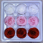 9pcs Rainbow Preserved Rose Flower Head Box｜Mixed Color | DreamGarden SG