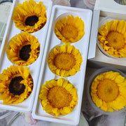 Sunflowers Dried Flowers | DreamGarden SG