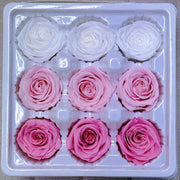 9pcs Rainbow Preserved Rose Flower Head Box｜Mixed Color | DreamGarden SG