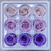 9pcs Rainbow Preserved Rose Flower Head Box｜Mixed Color | DreamGarden SG