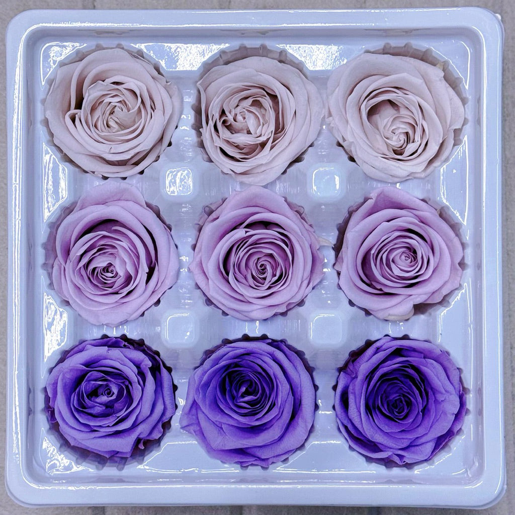 9pcs Rainbow Preserved Rose Flower Head Box｜Mixed Color Eternal Roses｜DIY Decoration Gift