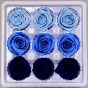 9pcs Rainbow Preserved Rose Flower Head Box｜Mixed Color | DreamGarden SG