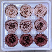 9pcs Rainbow Preserved Rose Flower Head Box｜Mixed Color | DreamGarden SG