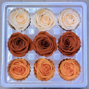 9pcs Rainbow Preserved Rose Flower Head Box｜Mixed Color | DreamGarden SG