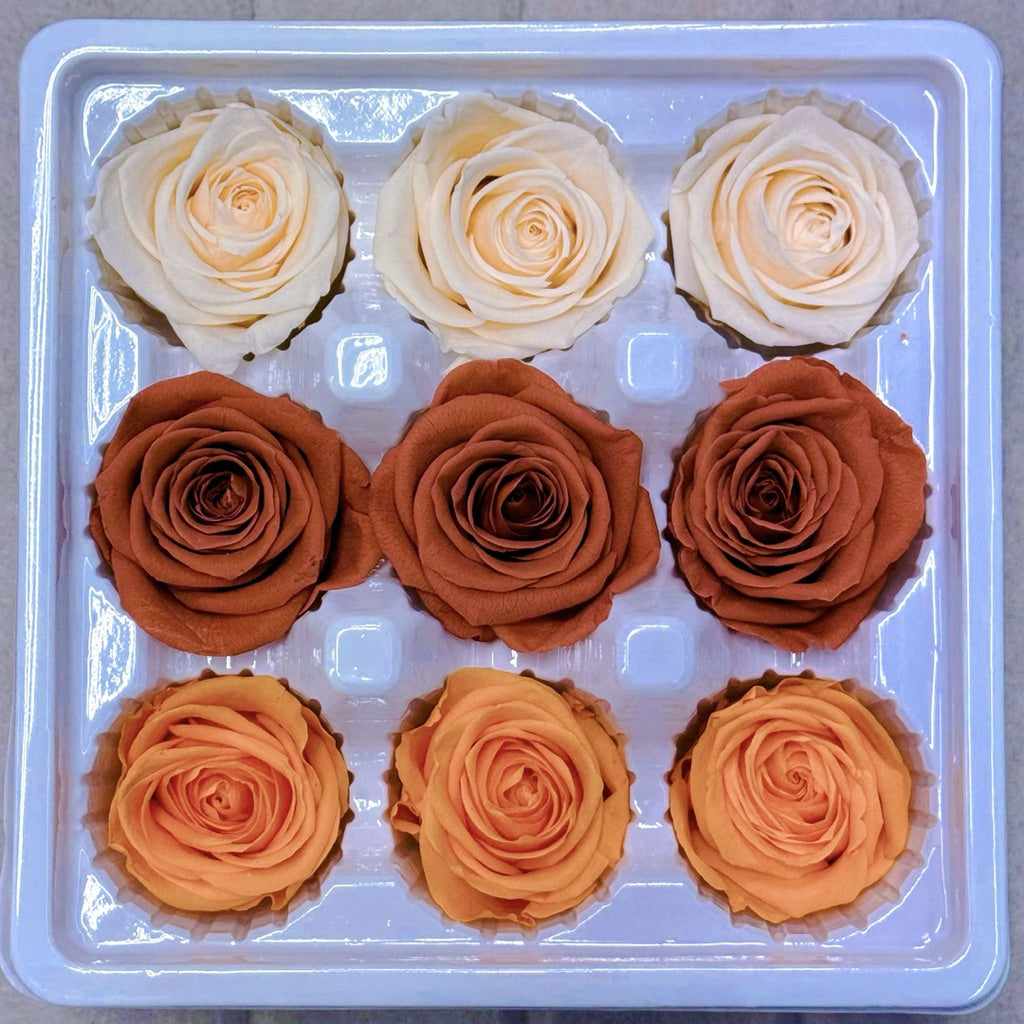 9pcs Rainbow Preserved Rose Flower Head Box｜Mixed Color Eternal Roses｜DIY Decoration Gift