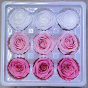 9pcs Rainbow Preserved Rose Flower Head Box｜Mixed Color | DreamGarden SG