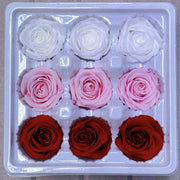 9pcs Rainbow Preserved Rose Flower Head Box｜Mixed Color | DreamGarden SG