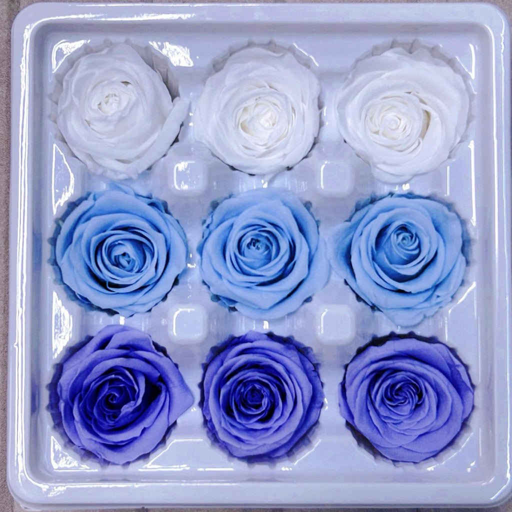 9pcs Rainbow Preserved Rose Flower Head Box｜Mixed Color Eternal Roses｜DIY Decoration Gift