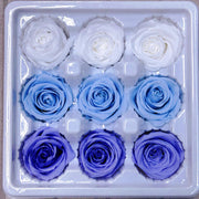 9pcs Rainbow Preserved Rose Flower Head Box｜Mixed Color | DreamGarden SG