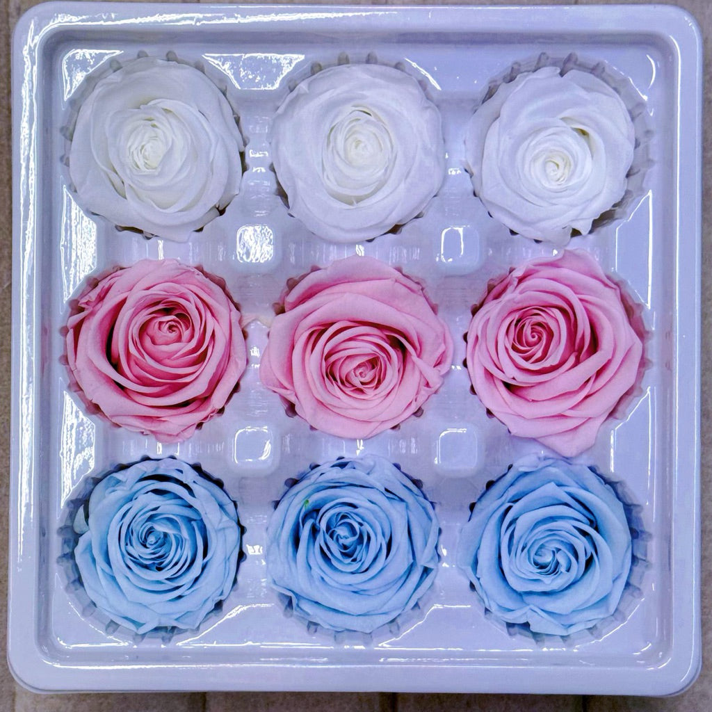 9pcs Rainbow Preserved Rose Flower Head Box｜Mixed Color | DreamGarden SG