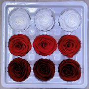 9pcs Rainbow Preserved Rose Flower Head Box｜Mixed Color | DreamGarden SG