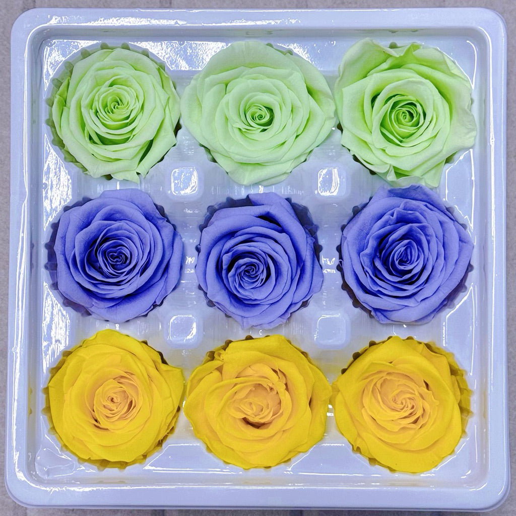 9pcs Rainbow Preserved Rose Flower Head Box｜Mixed Color | DreamGarden SG