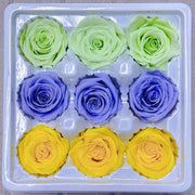 9pcs Rainbow Preserved Rose Flower Head Box｜Mixed Color | DreamGarden SG